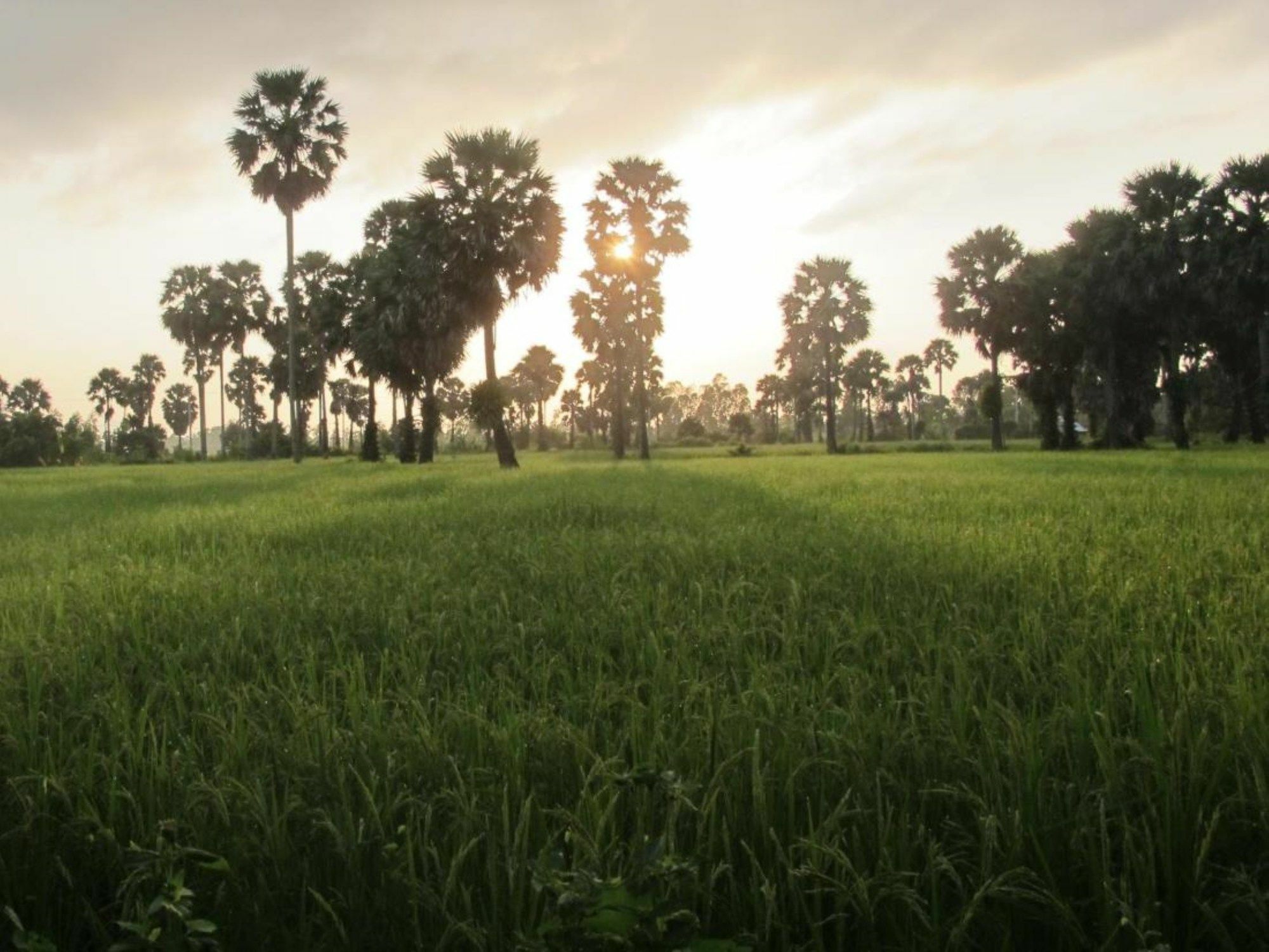 فيلا تشامبا لودج كامبوت المظهر الخارجي الصورة